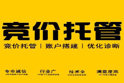 百度推广代理的投放策略及效果评估案例